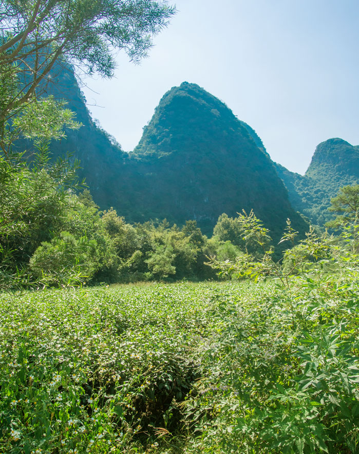 沿途风景2